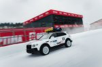 Terenska zverina z leda v Zell am Seeju - fotografija 5