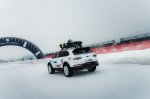 Terenska zverina z leda v Zell am Seeju - fotografija 6