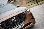 Še vedno močno verjamejo v dizelski motor - fotografija 17