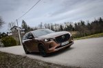 Še vedno močno verjamejo v dizelski motor - fotografija 8