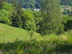 Mir pod koroškimi oblaki s štirikolesnim pogonom - fotografija 53